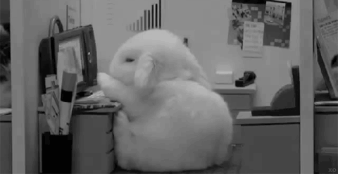 Black-and-white animated picture of a bunny sitting in a miniature office who falls over when it falls asleep