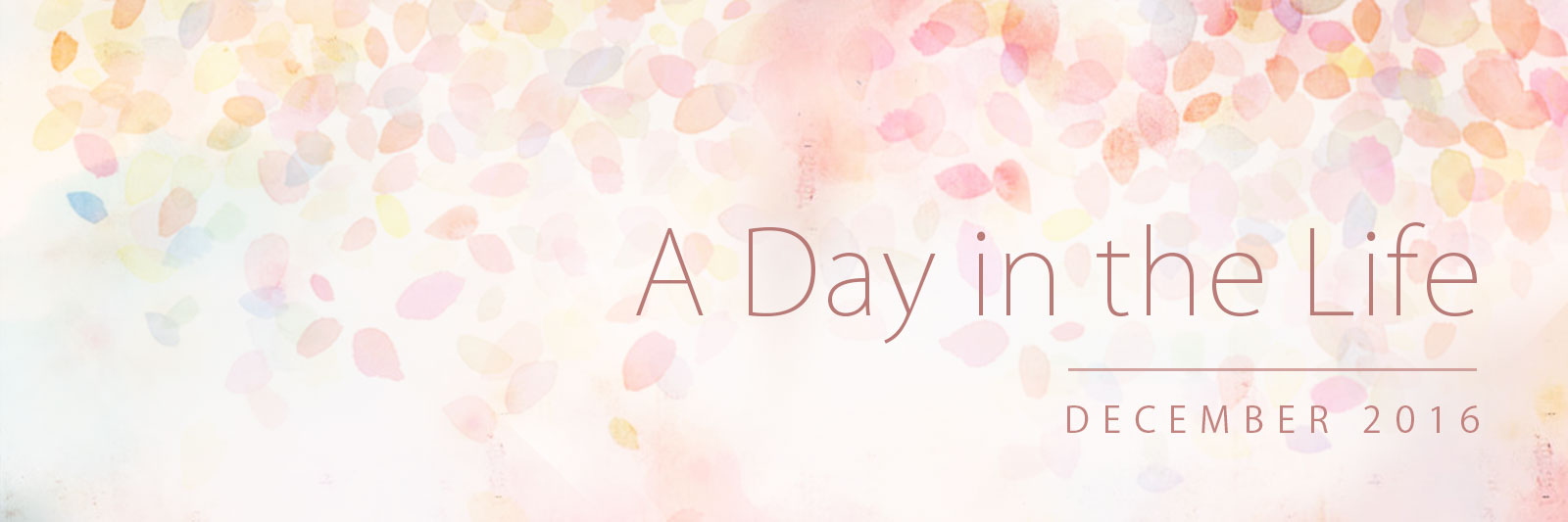 Banner for 'A Day in the Life': December 2016