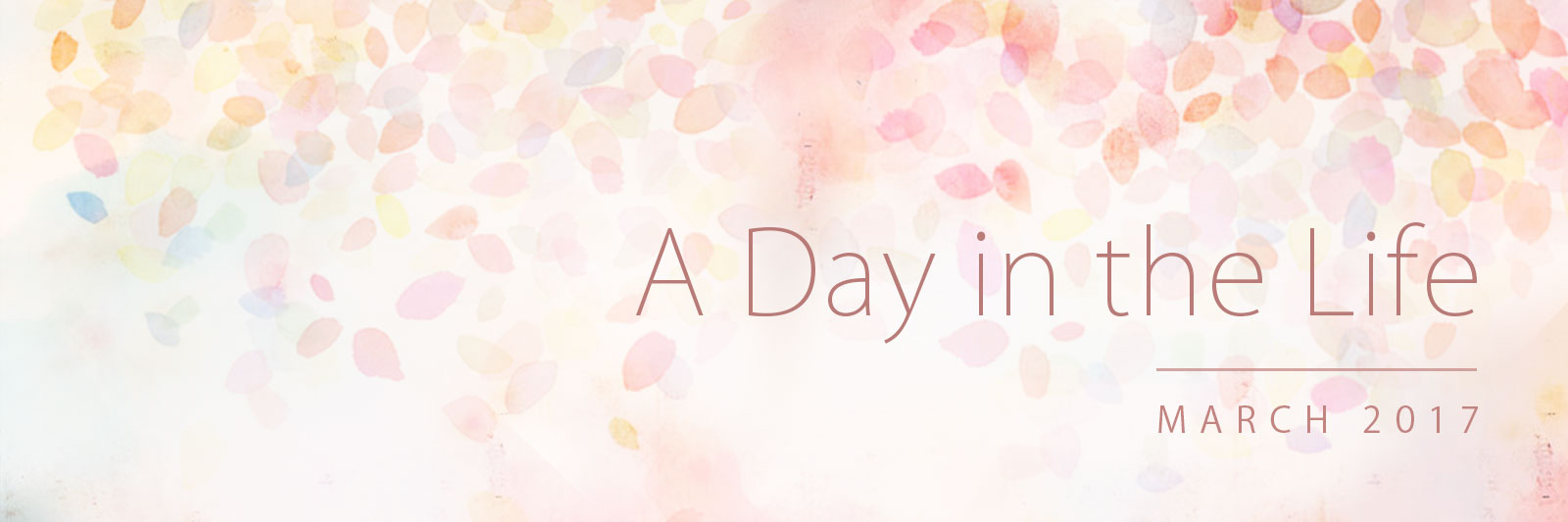Banner for 'A Day in the Life': March 2017