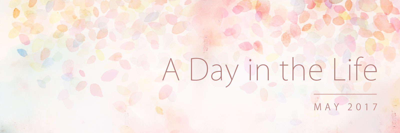 Banner for 'A Day in the Life': May 2017