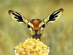 Drama Popcorn