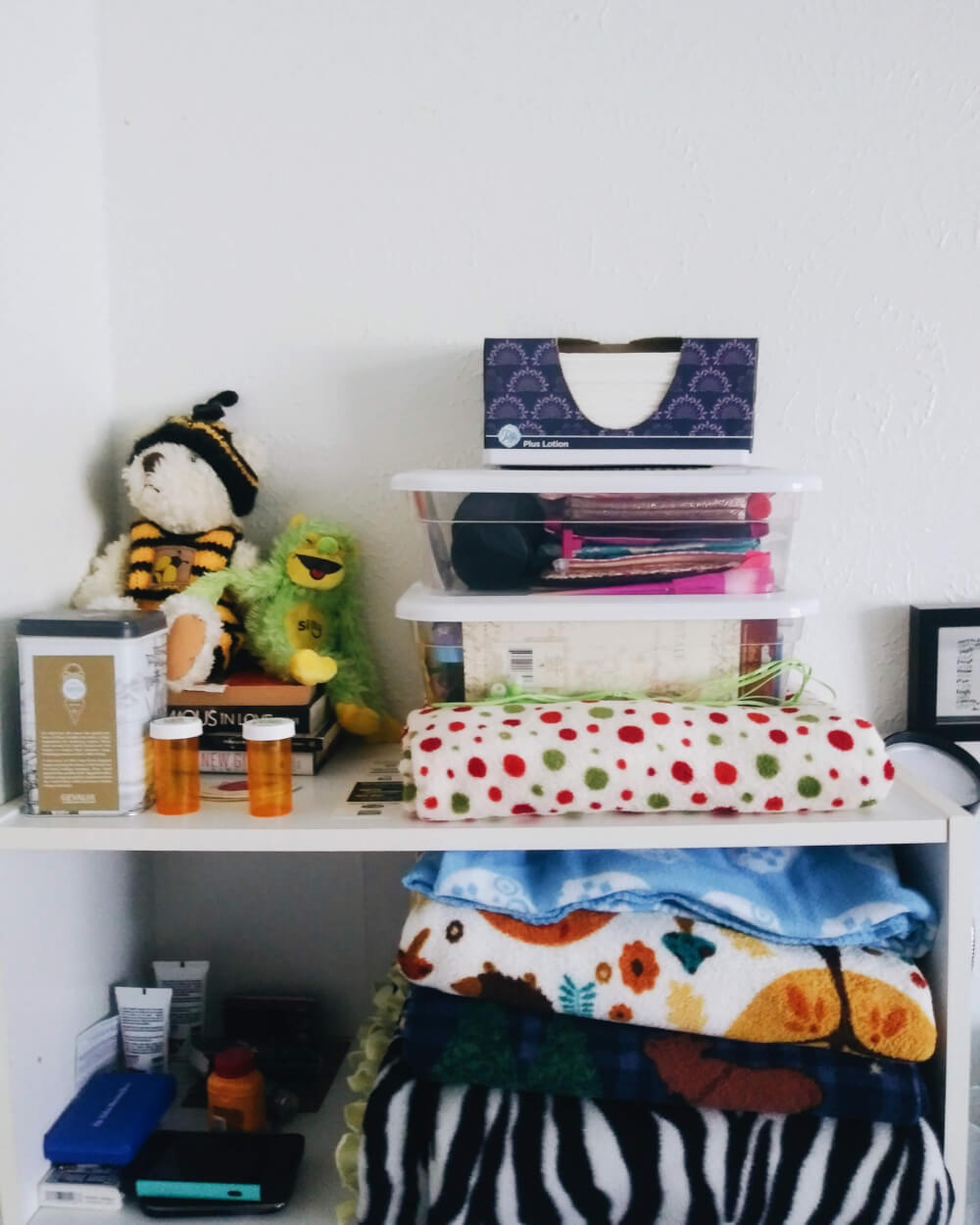 Bookshelve holding various paraphernalia, including blankets and two clear containers