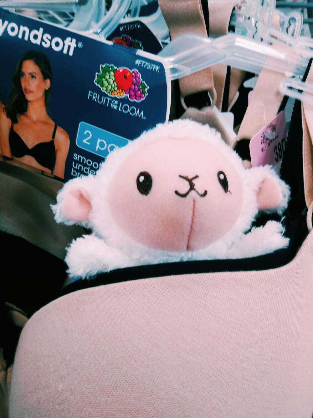 Tiny toy sheep plush rattle in the right breast of a bra on the rack